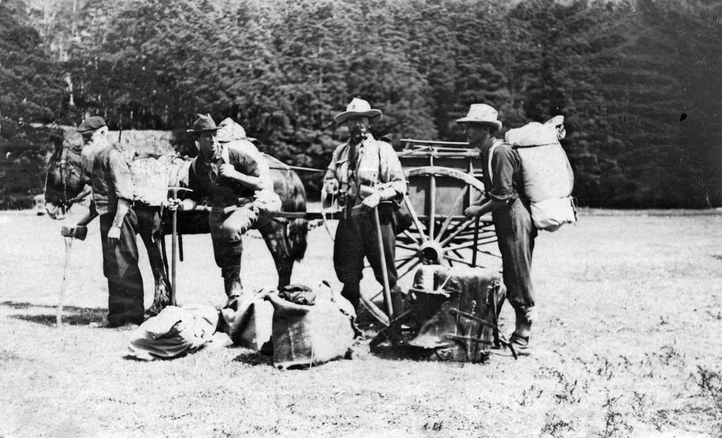 John McIndoe Limited : Records