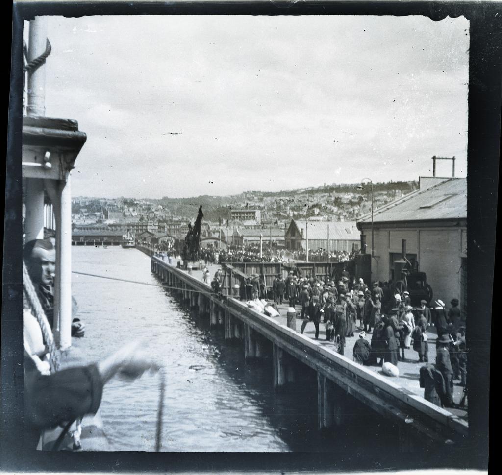 Arrival at Dunedin