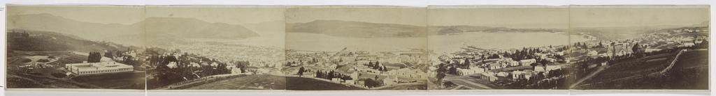 Panorama of Dunedin