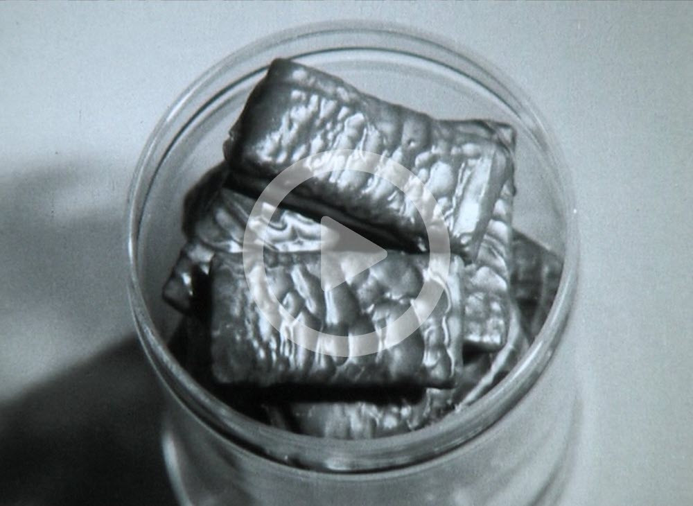 Cadbury &amp; Hudson Chocolate Sultana Pasties ('It's all in the big blue H')