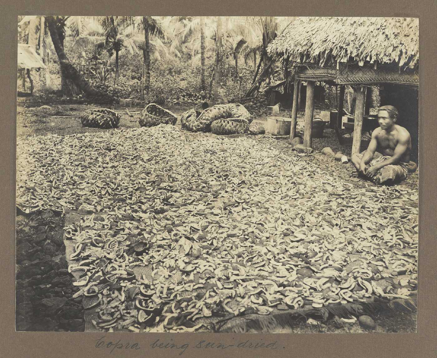 Copra being sun-dried