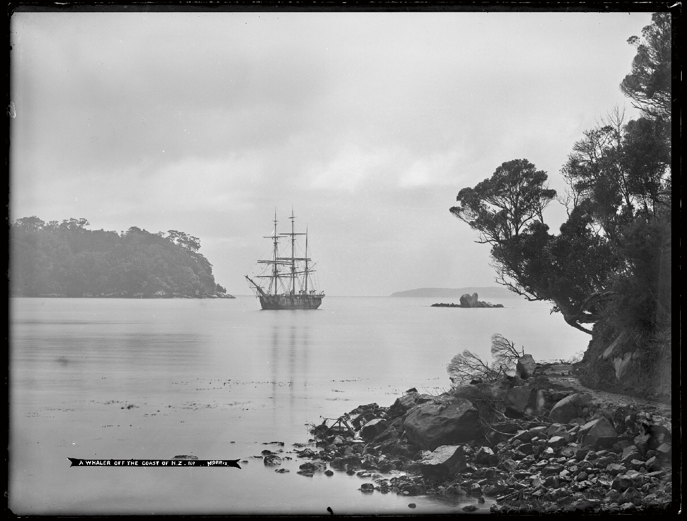 A whaler off the coast of N.Z.