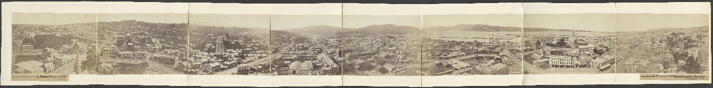 Walter Burton, Panorama of Dunedin, 1880