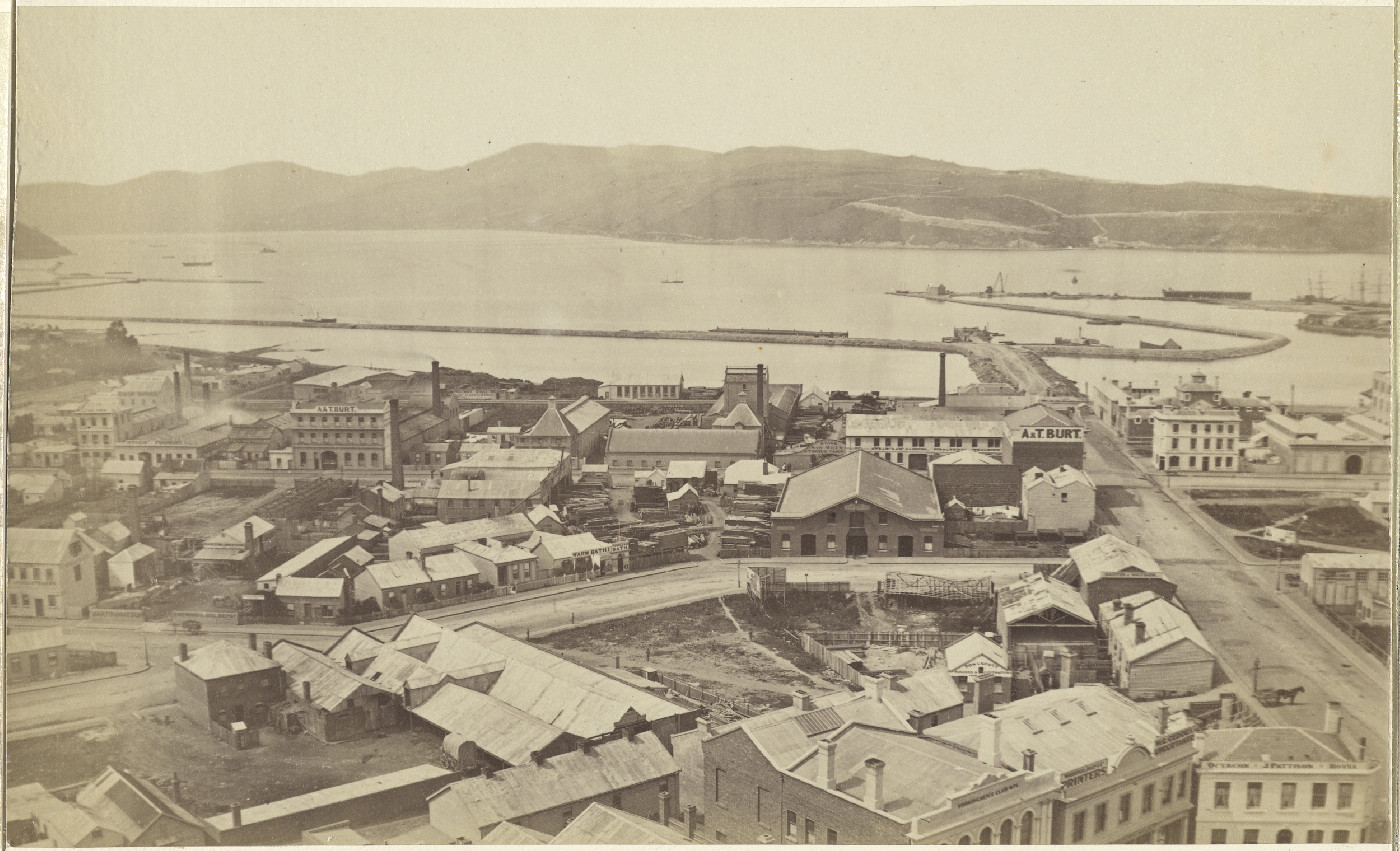 Panorama of Dunedin [part 6 of 8]