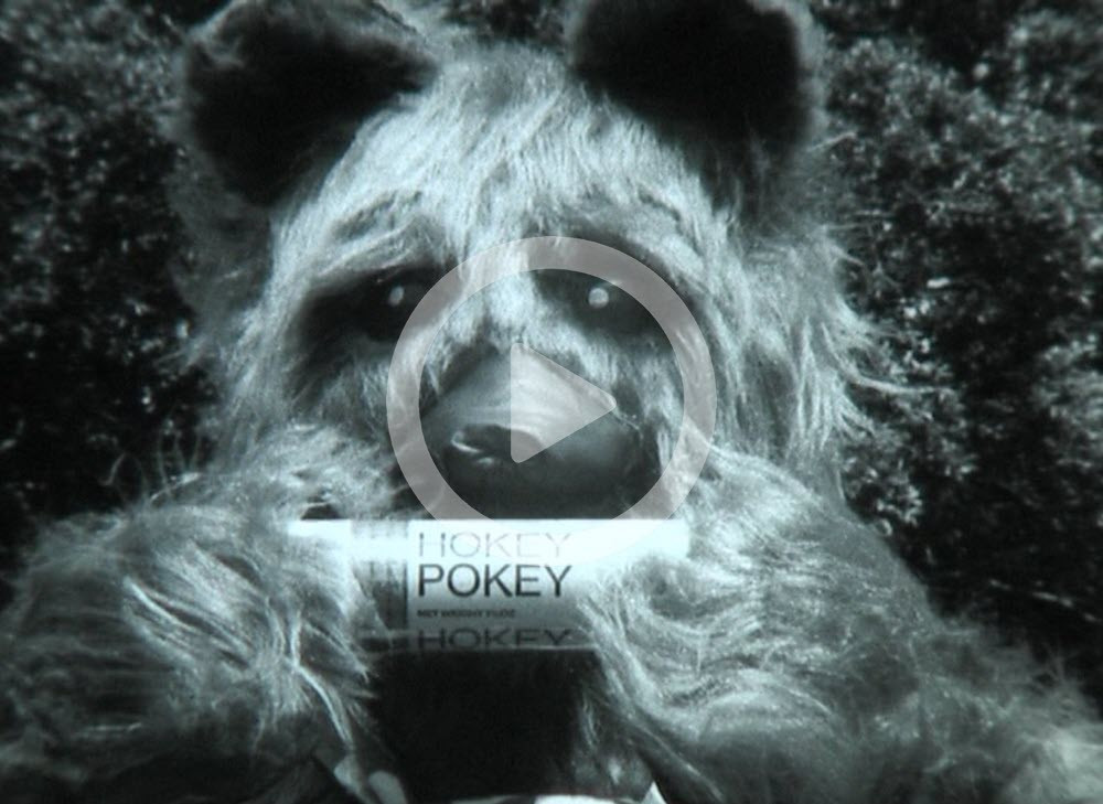 Hudsons Hokey Pokey Cookies (with Cookie Bear)