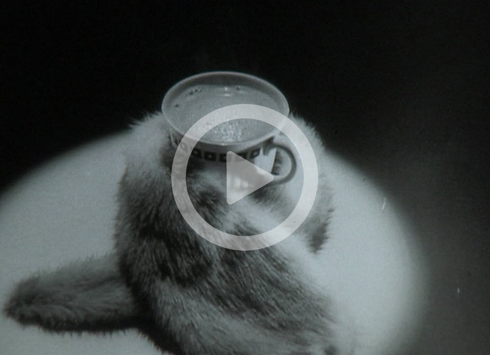 Cadbury's Drinking Chocolate, 'The drink that's as warm as mink'