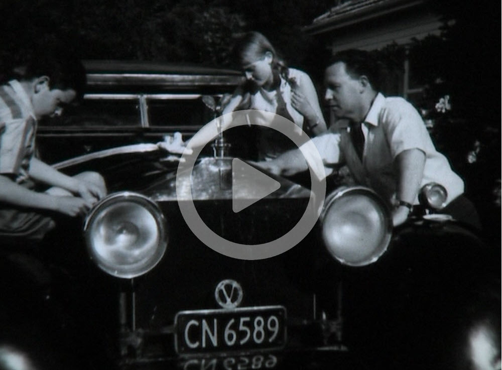 Hudsons Butter Bran Cookies