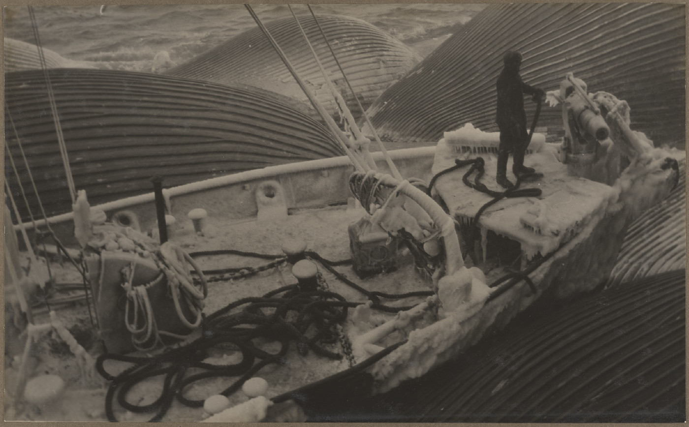 Hvalfangerselskap Rosshavet whaling company photograph album