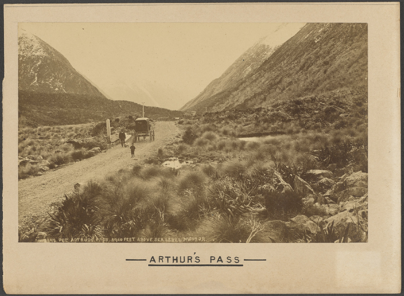 Dividing peg, Arthur's Pass 3960 feet above sea level