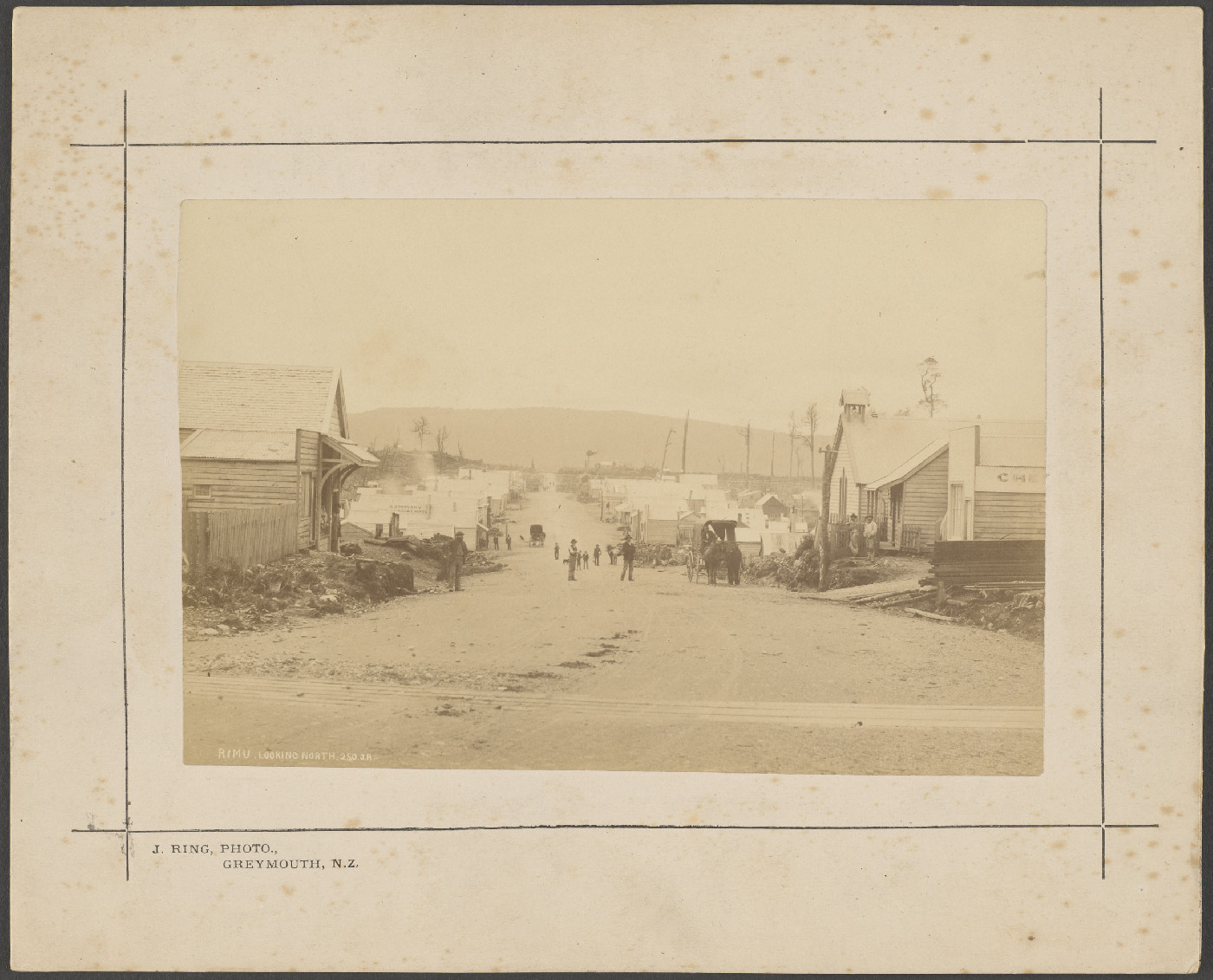 Rimu, looking north